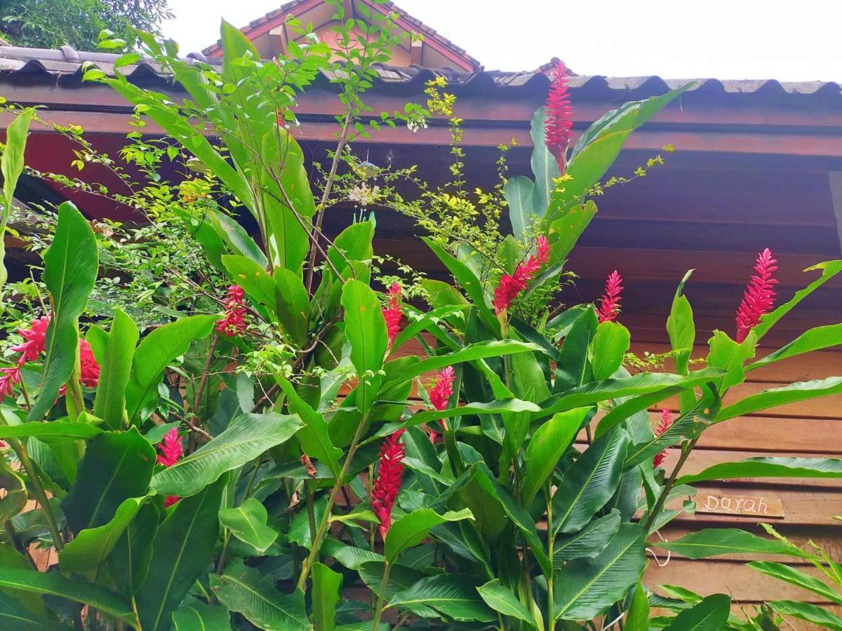 Champalao The Villa Vang Vieng Bagian luar foto