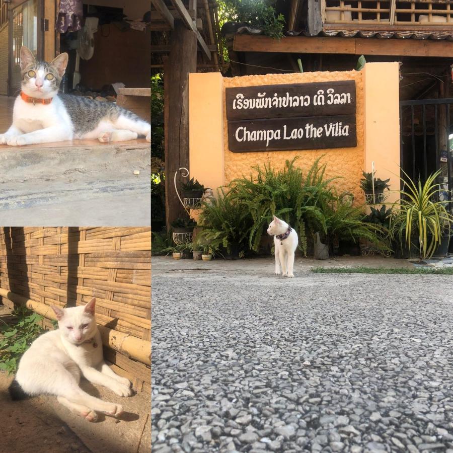 Champalao The Villa Vang Vieng Bagian luar foto